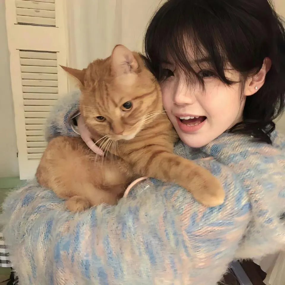 路人女主的养成方法第二季